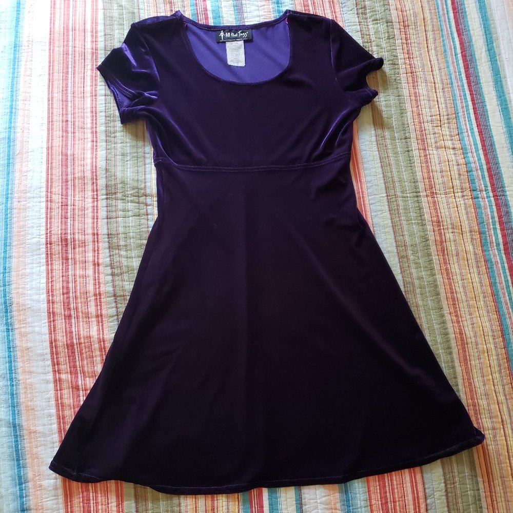Wonderful Vintage 90s Purple Velvet Skater Dress